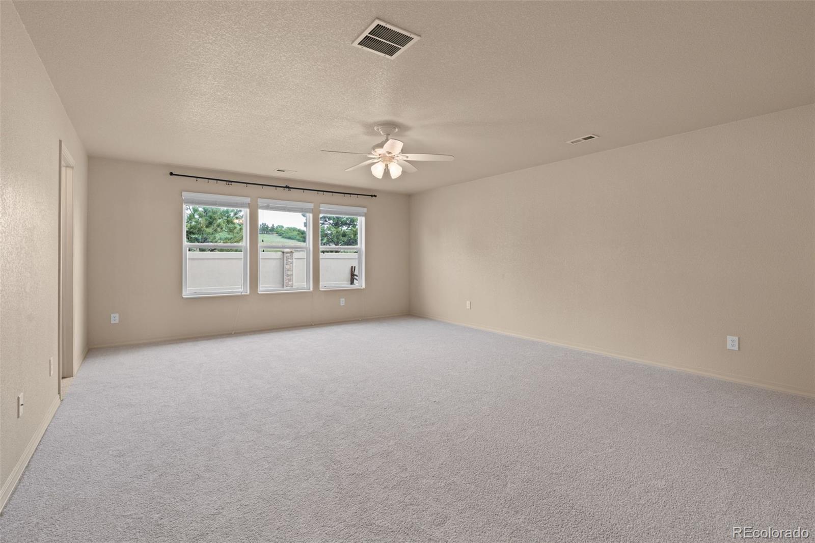 MLS Image #14 for 1295  diamond rim drive,colorado springs, Colorado