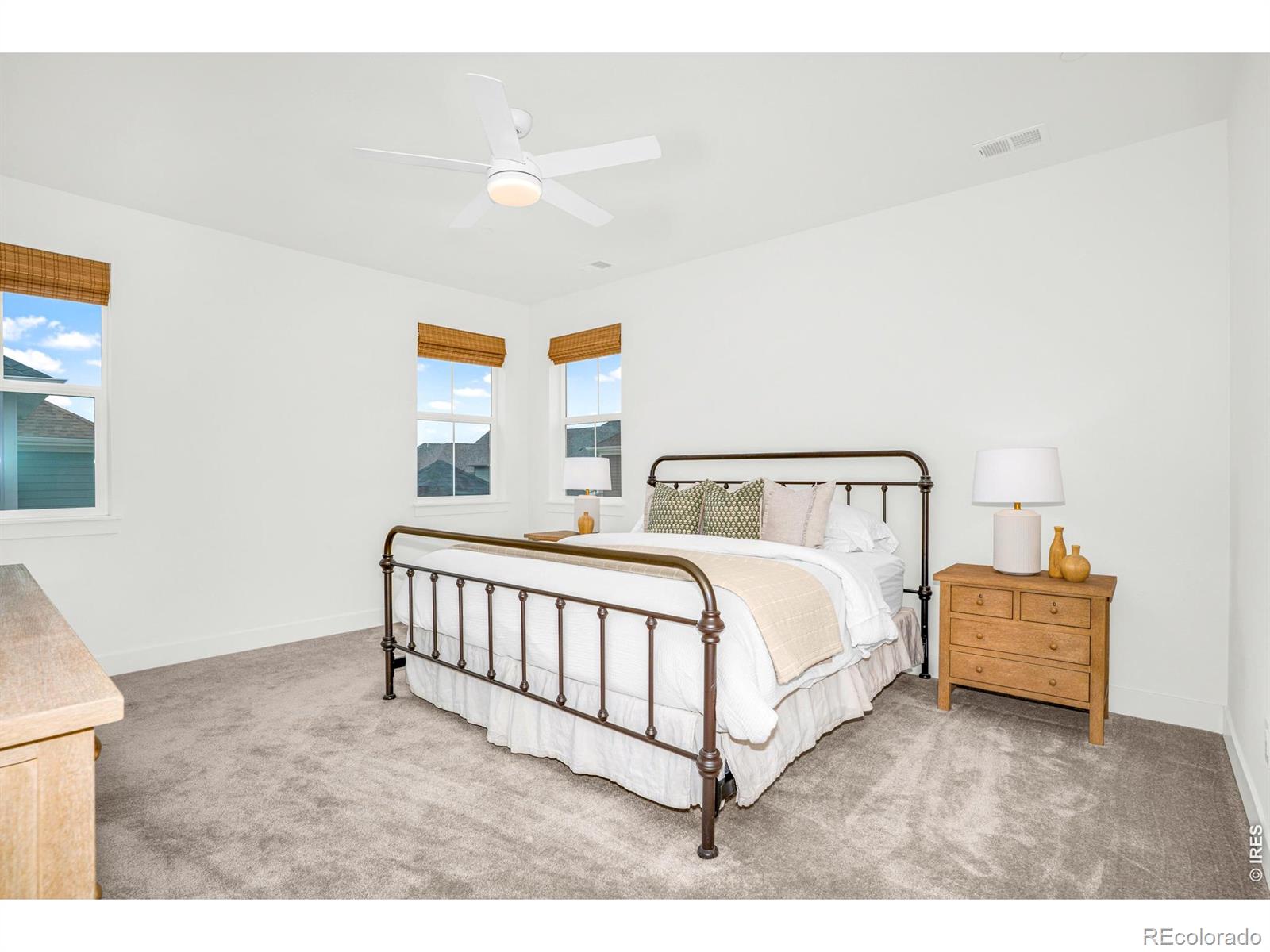 MLS Image #26 for 239  washington street,erie, Colorado