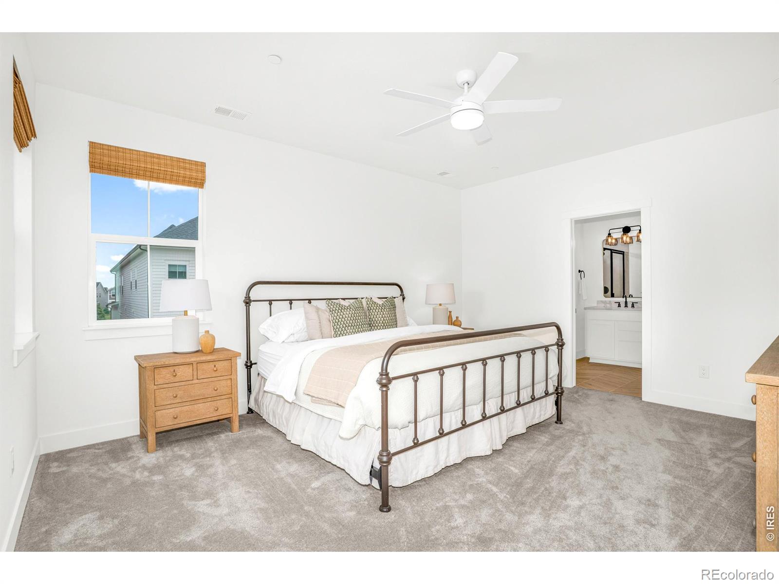 MLS Image #27 for 239  washington street,erie, Colorado
