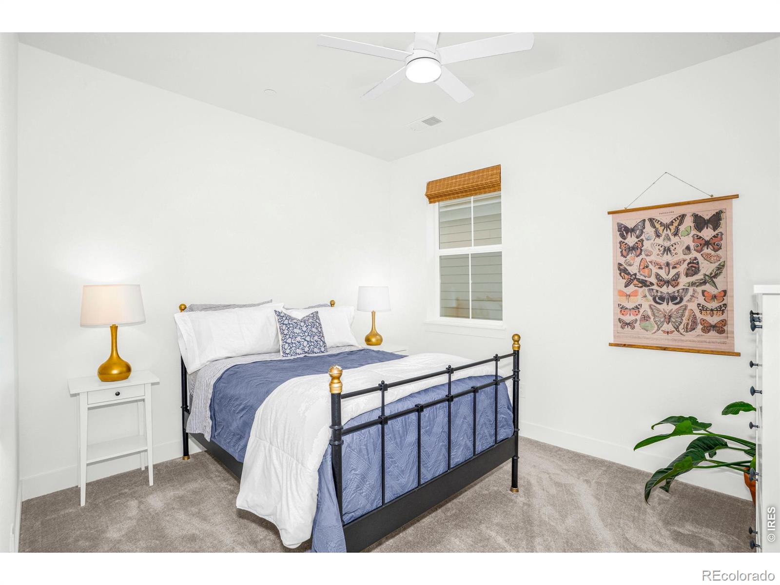 MLS Image #31 for 239  washington street,erie, Colorado