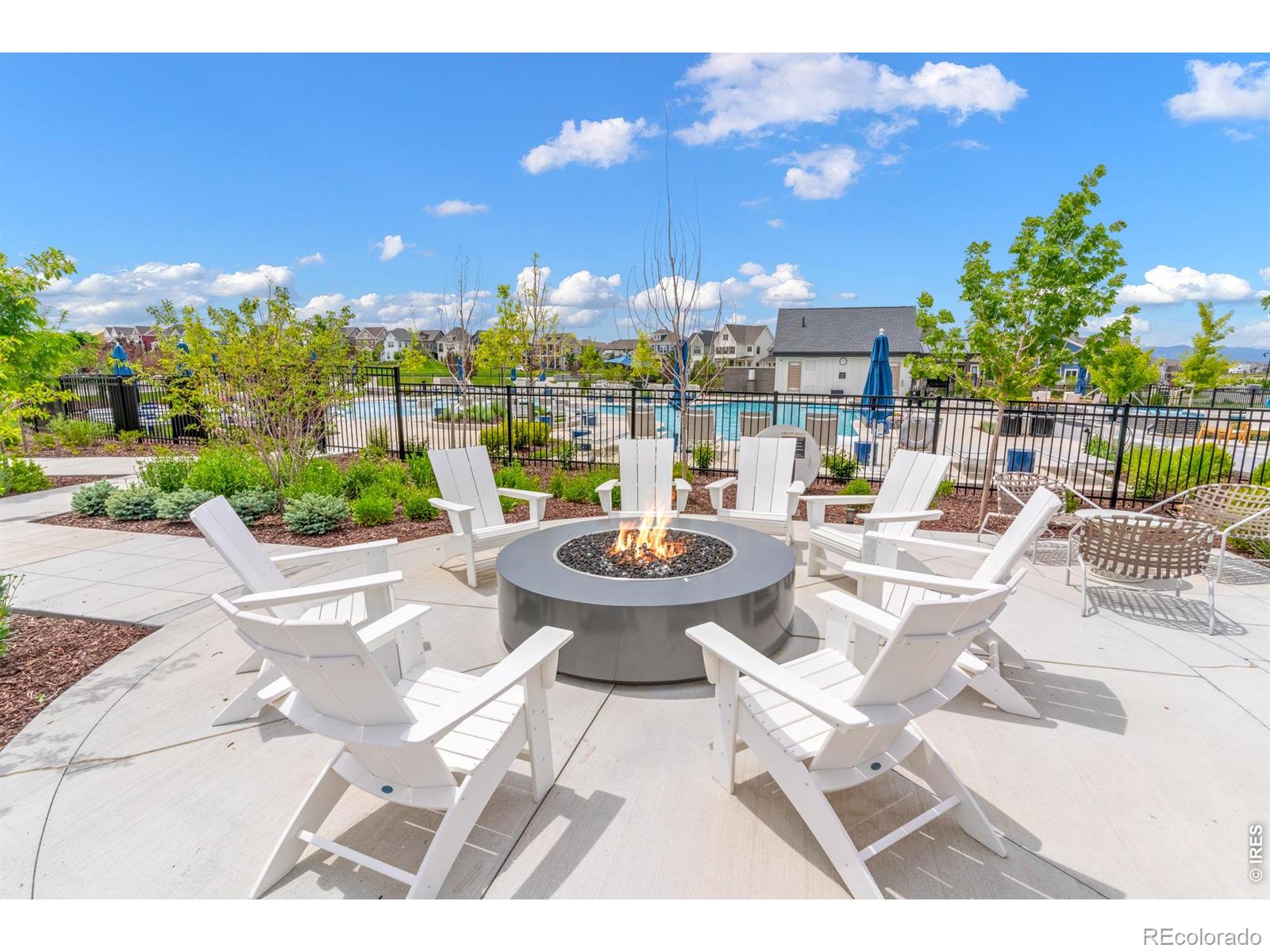 MLS Image #42 for 239  washington street,erie, Colorado