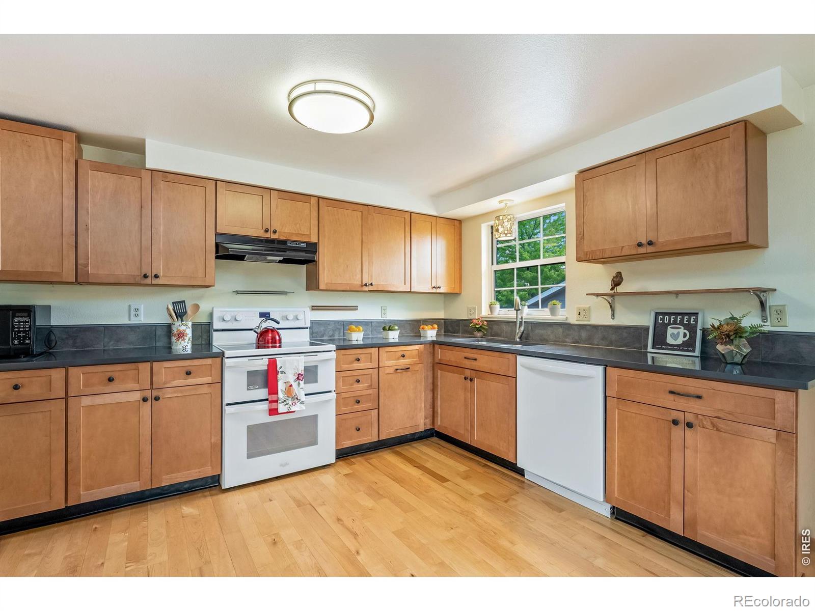 MLS Image #12 for 5801  mangrove court,loveland, Colorado