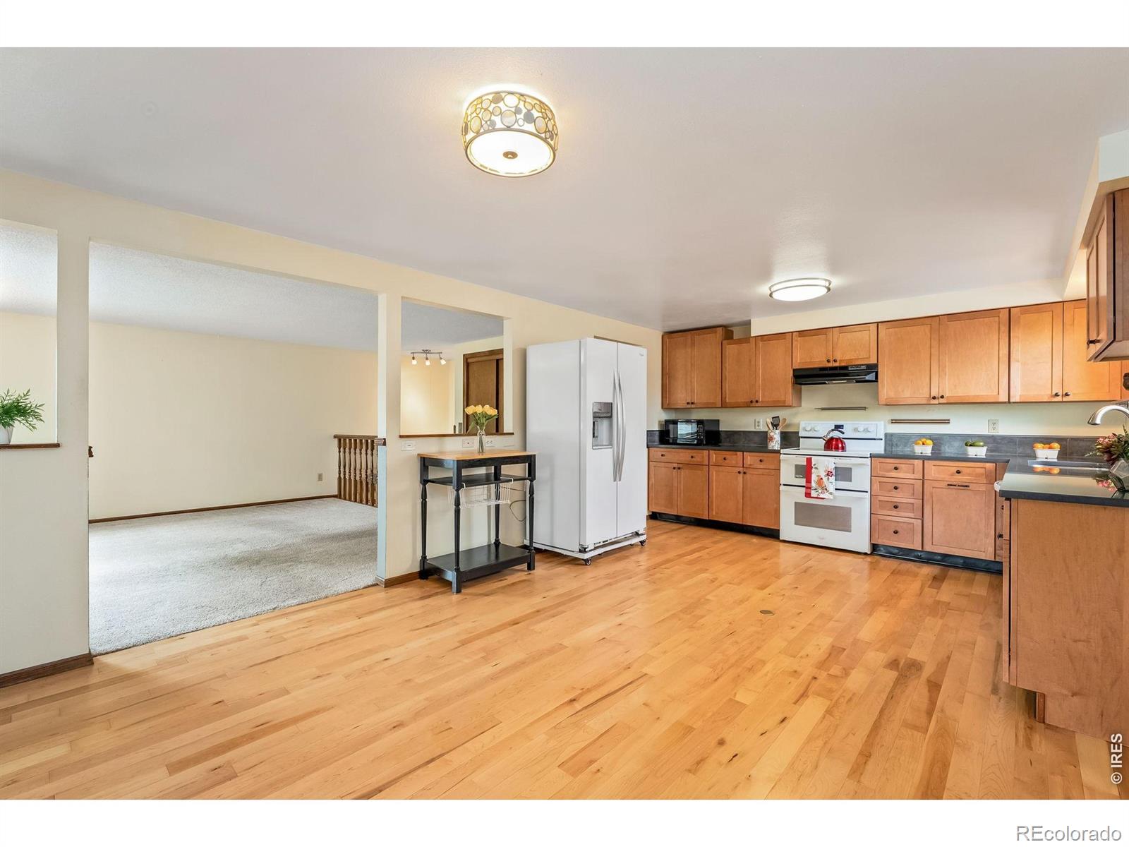 MLS Image #8 for 5801  mangrove court,loveland, Colorado