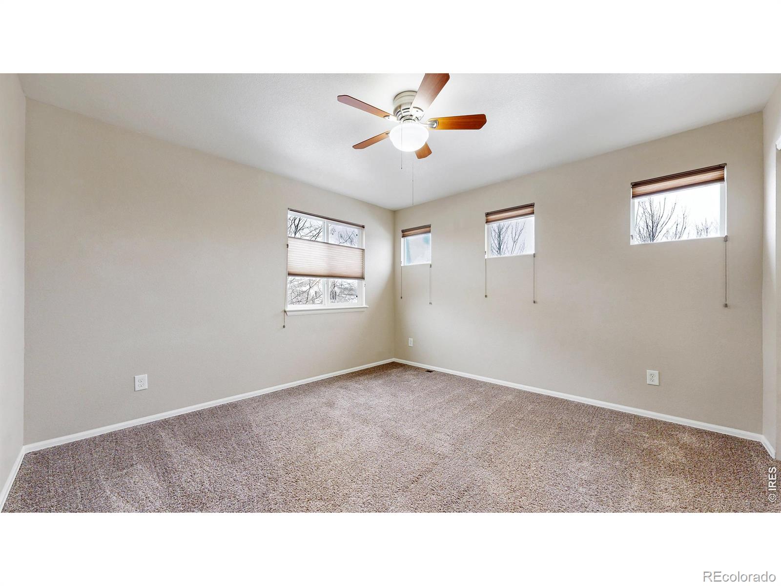 MLS Image #23 for 5543  calgary street,timnath, Colorado