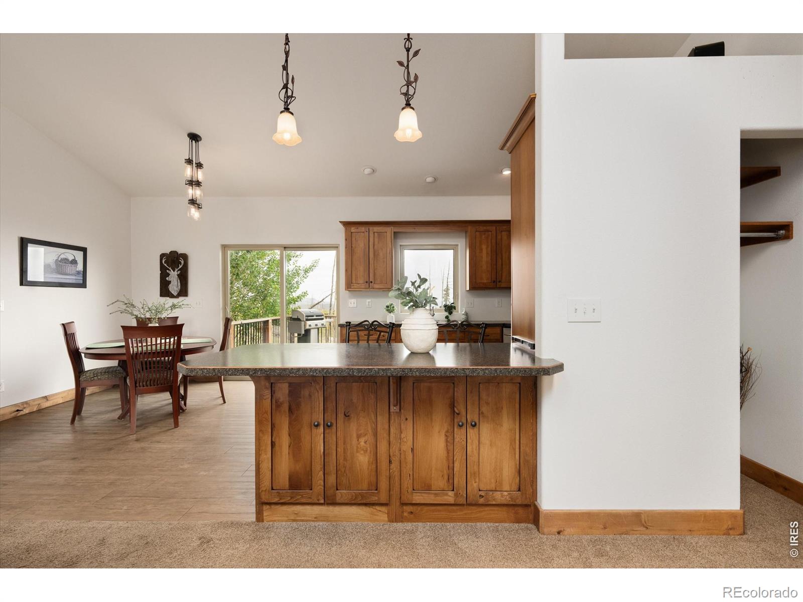 MLS Image #10 for 1291  little whale road,bellvue, Colorado