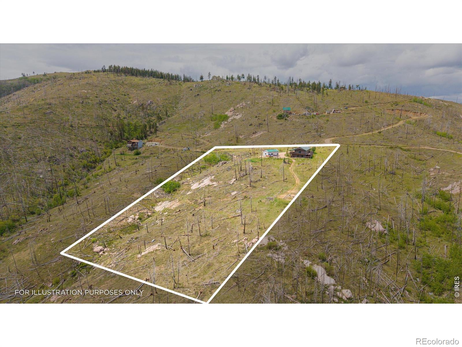 MLS Image #38 for 1291  little whale road,bellvue, Colorado
