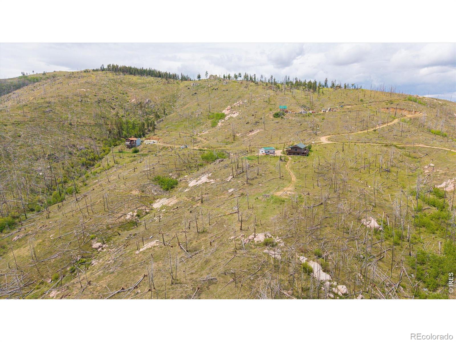 MLS Image #40 for 1291  little whale road,bellvue, Colorado