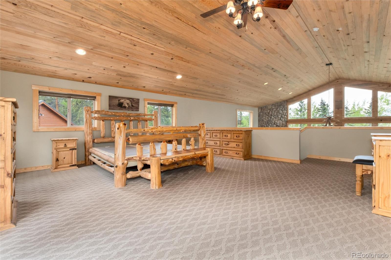MLS Image #29 for 36  wild rye road,fairplay, Colorado