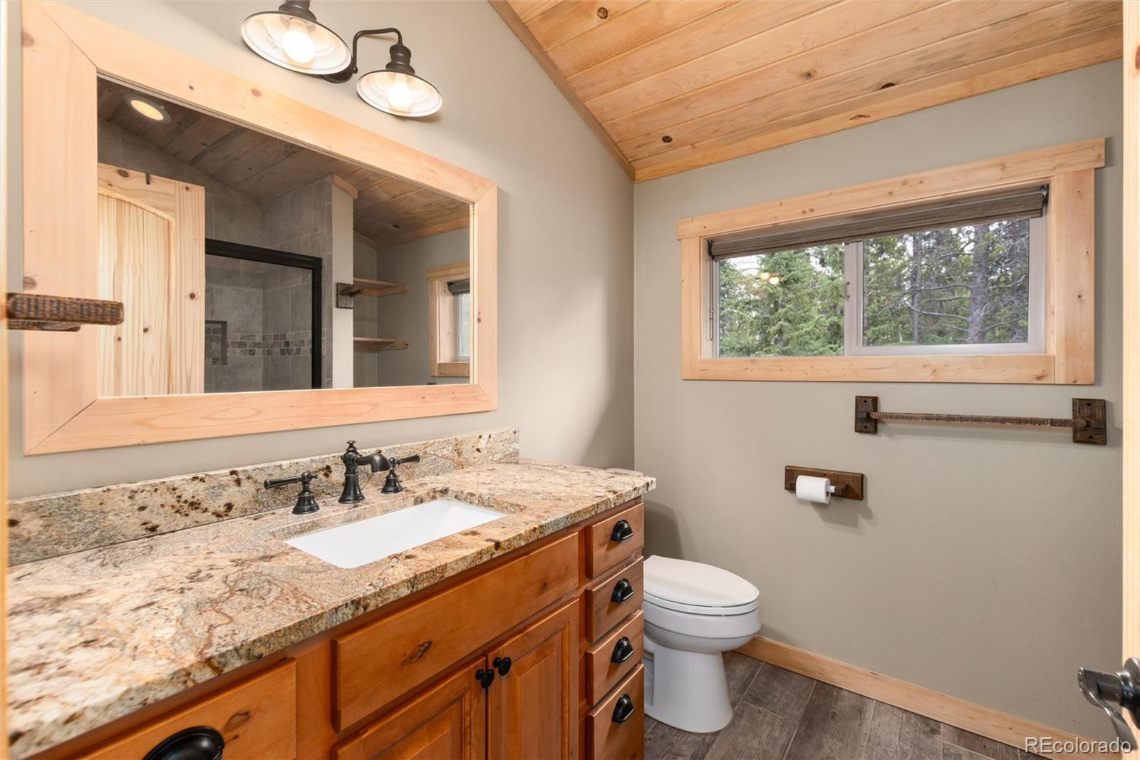 MLS Image #31 for 36  wild rye road,fairplay, Colorado
