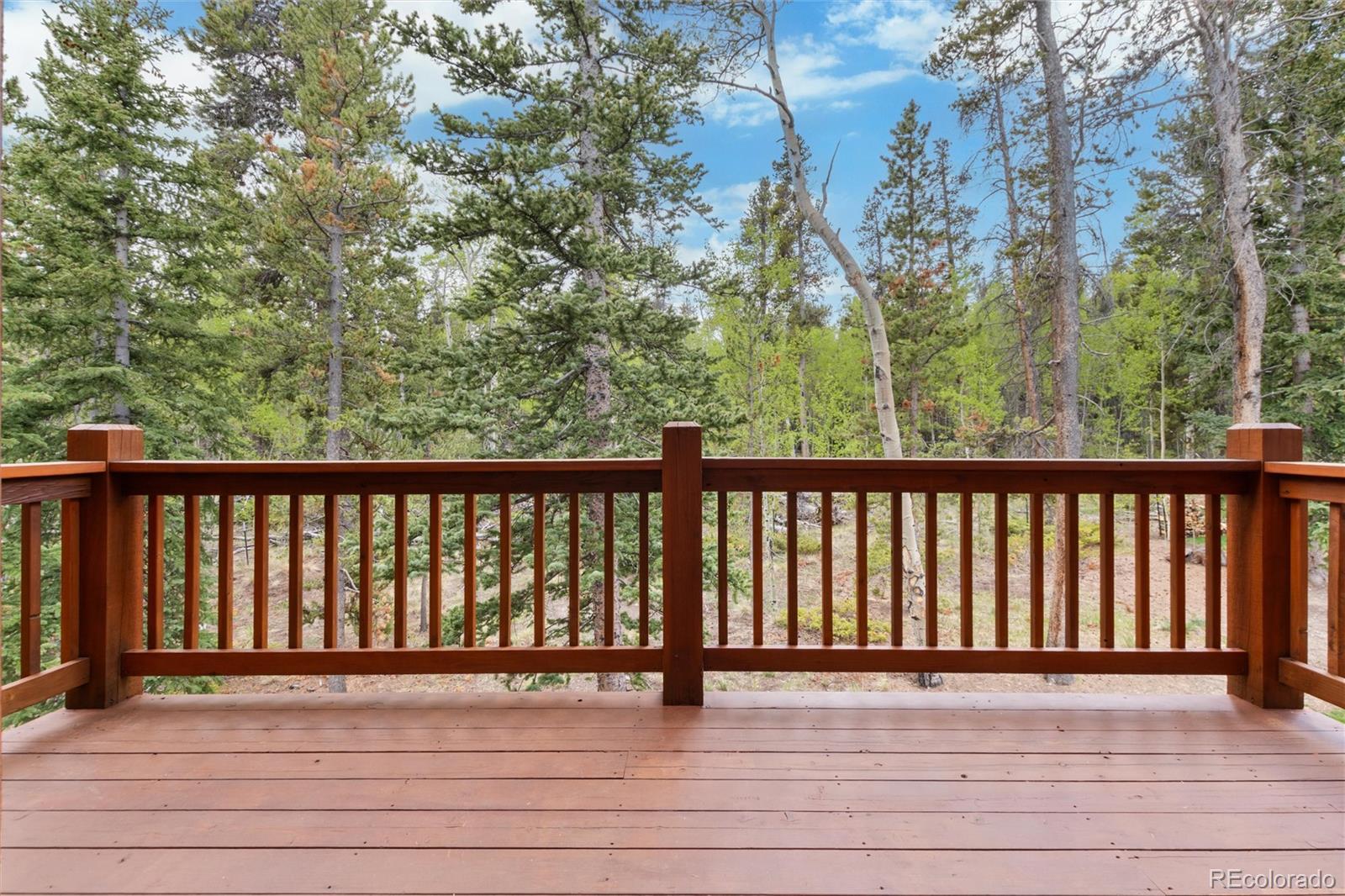MLS Image #36 for 36  wild rye road,fairplay, Colorado