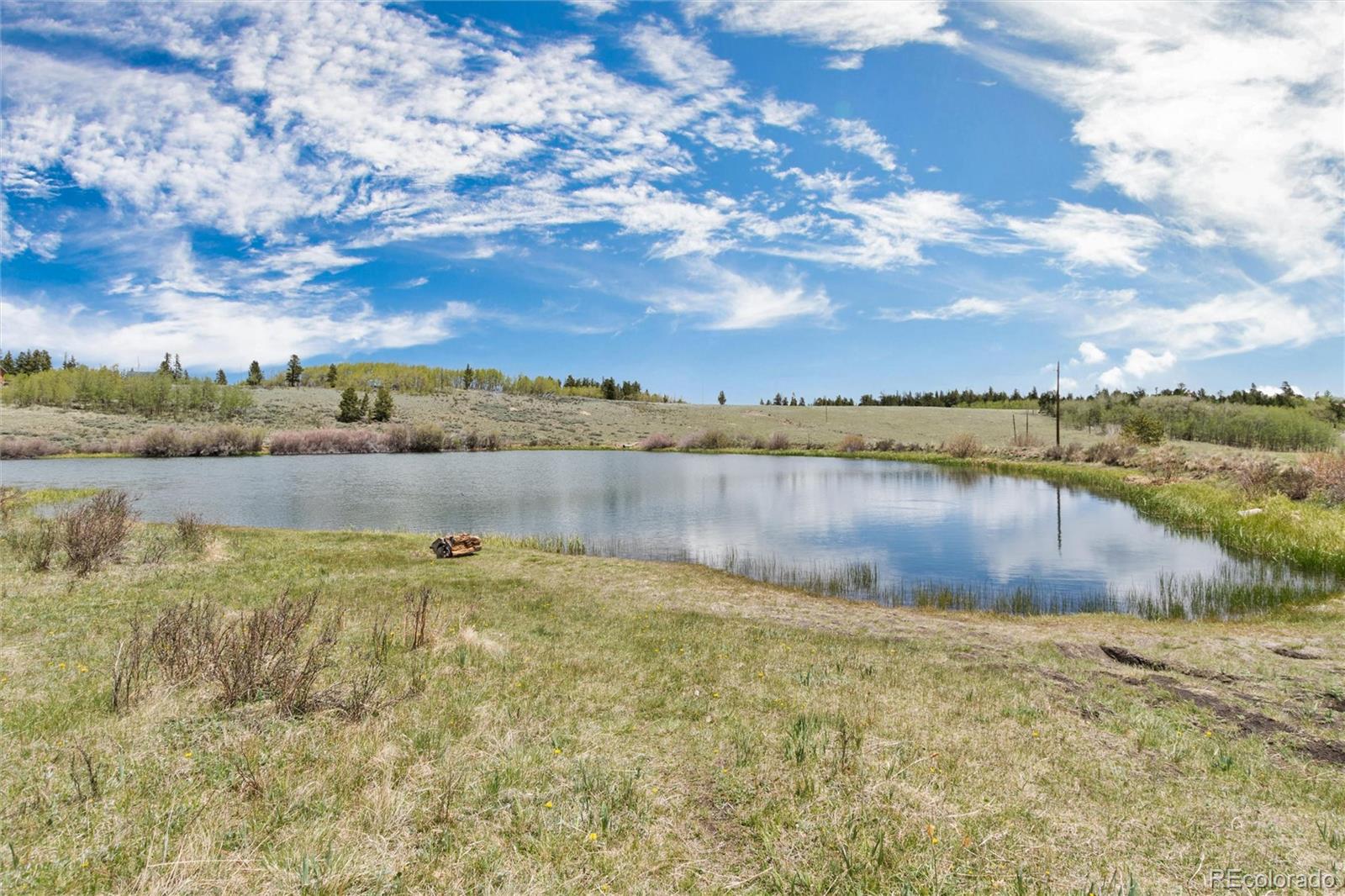 MLS Image #46 for 36  wild rye road,fairplay, Colorado