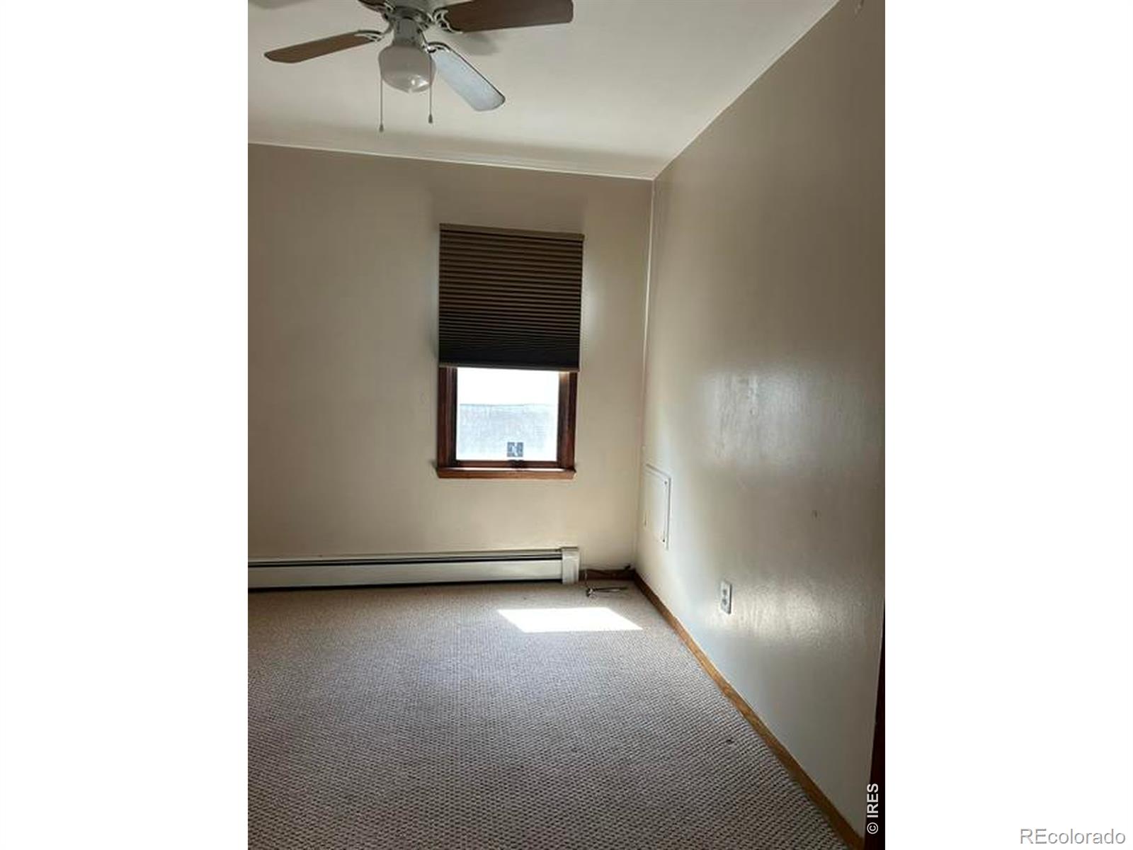 MLS Image #14 for 221  walnut street,windsor, Colorado