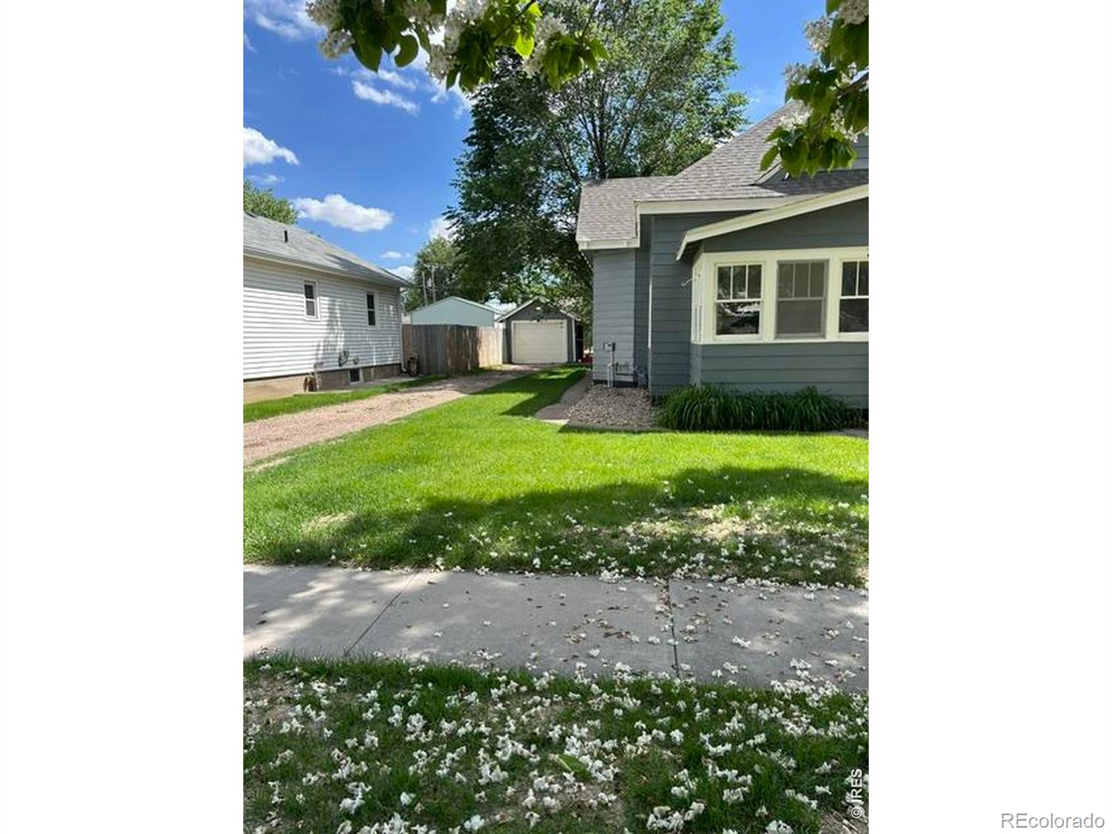 MLS Image #2 for 221  walnut street,windsor, Colorado