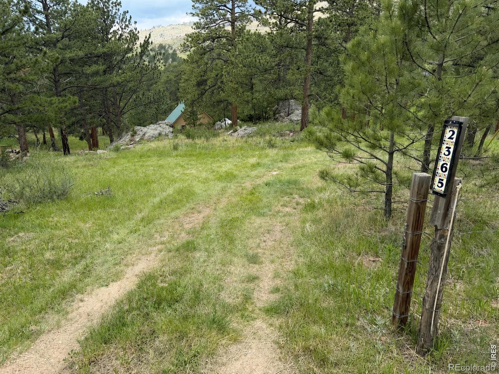 MLS Image #3 for 2365  storm mountain drive,drake, Colorado