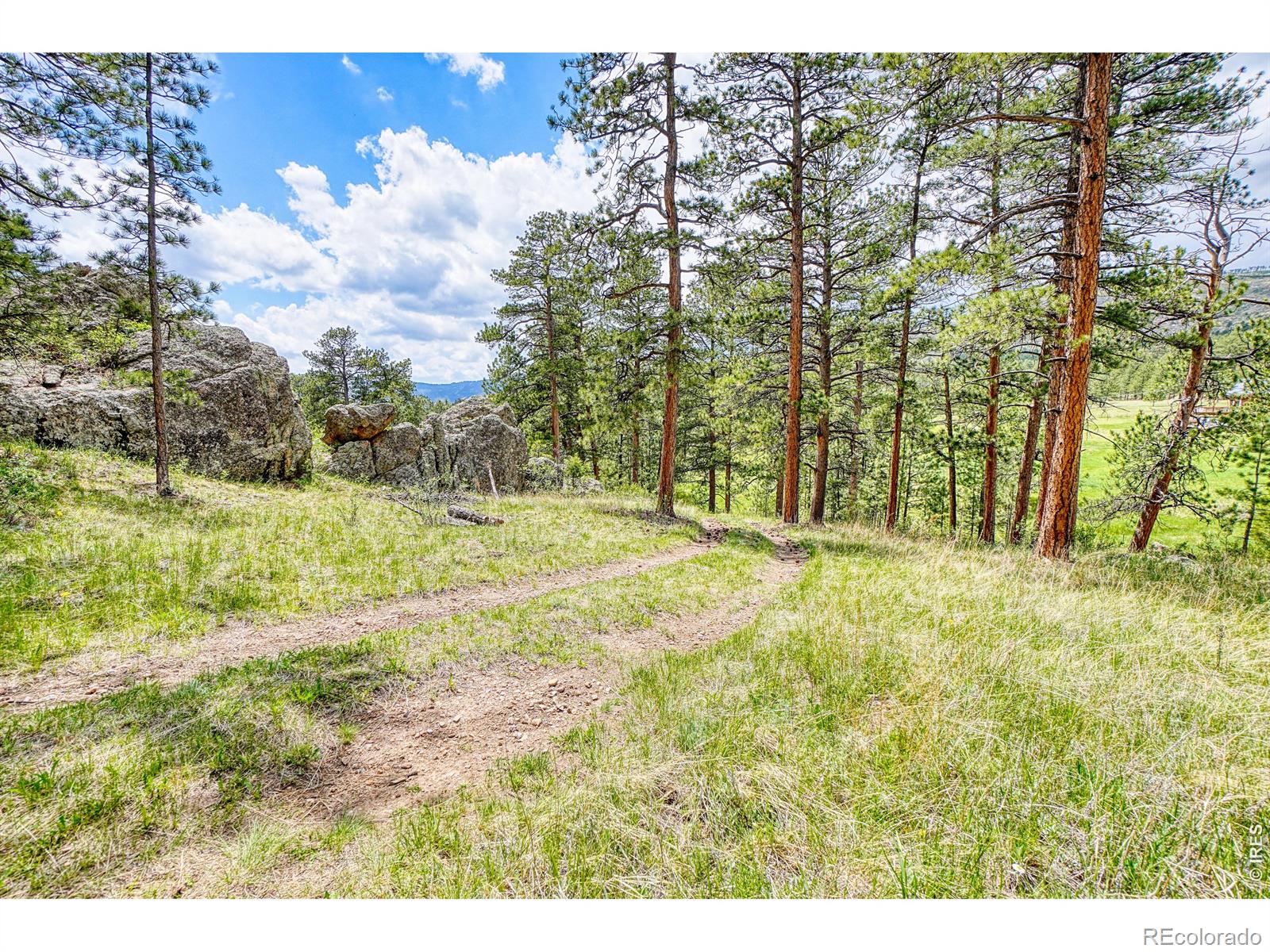 MLS Image #32 for 2365  storm mountain drive,drake, Colorado