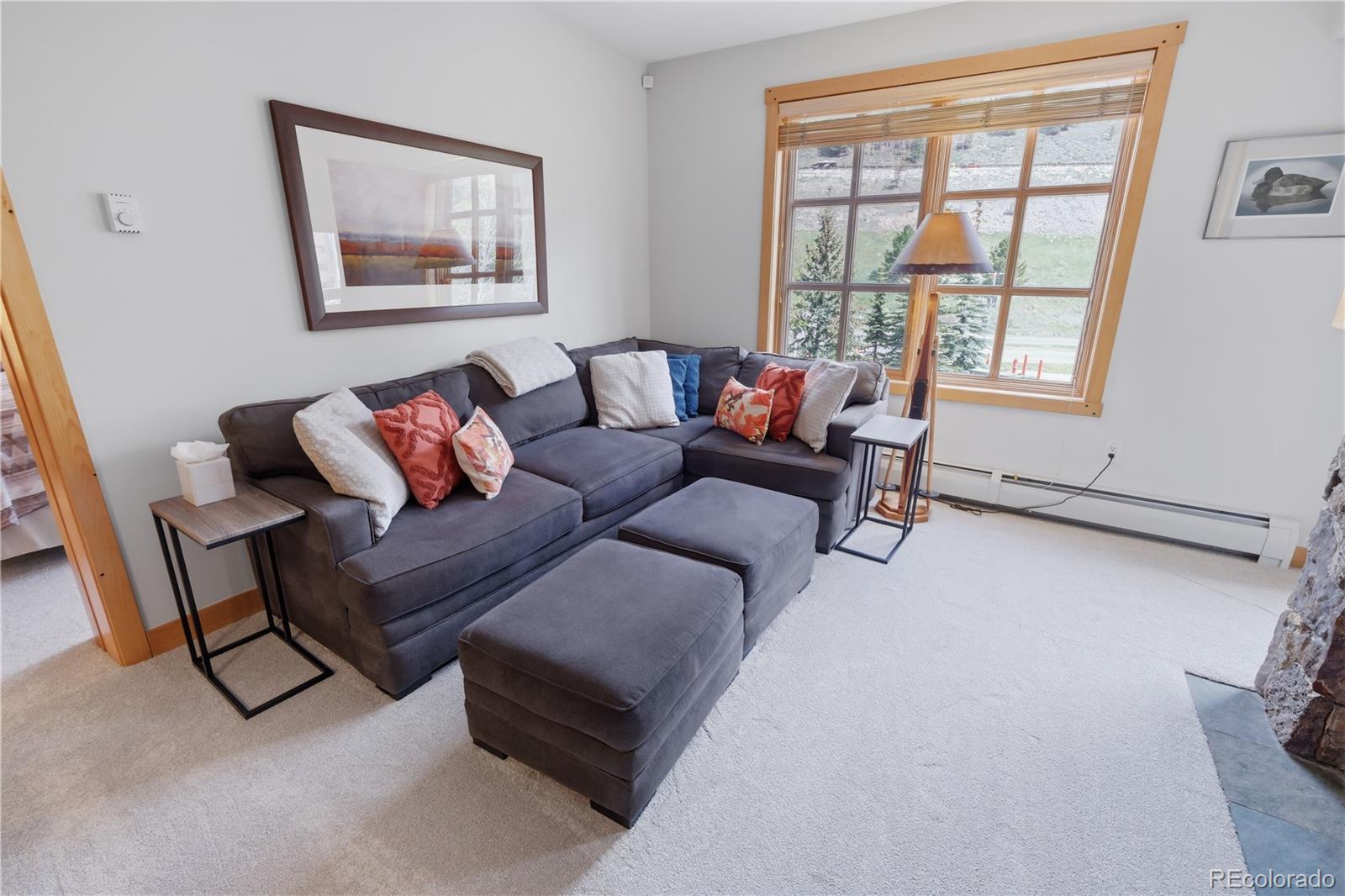 MLS Image #12 for 910  copper road,copper mountain, Colorado