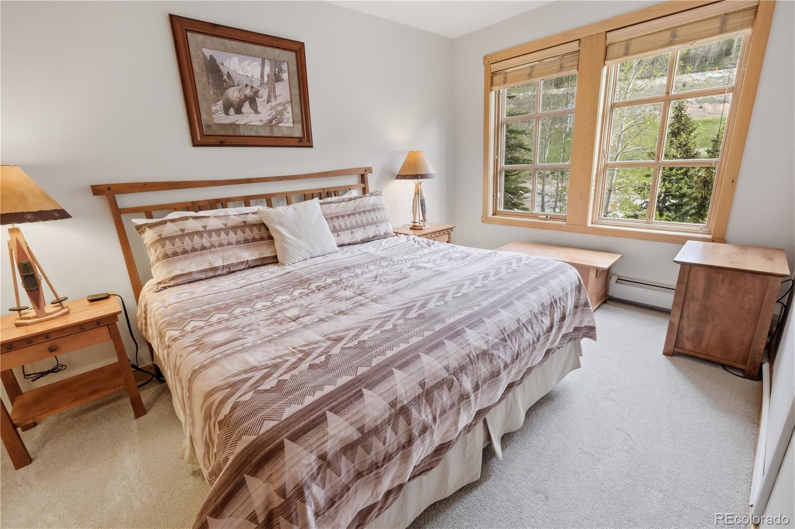 MLS Image #15 for 910  copper road,copper mountain, Colorado