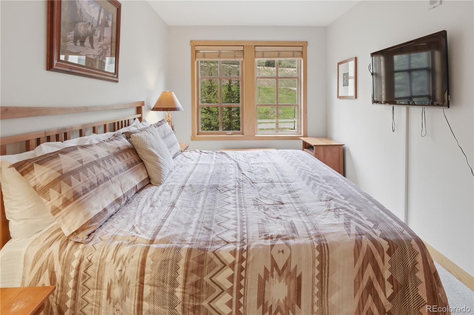 MLS Image #16 for 910  copper road,copper mountain, Colorado