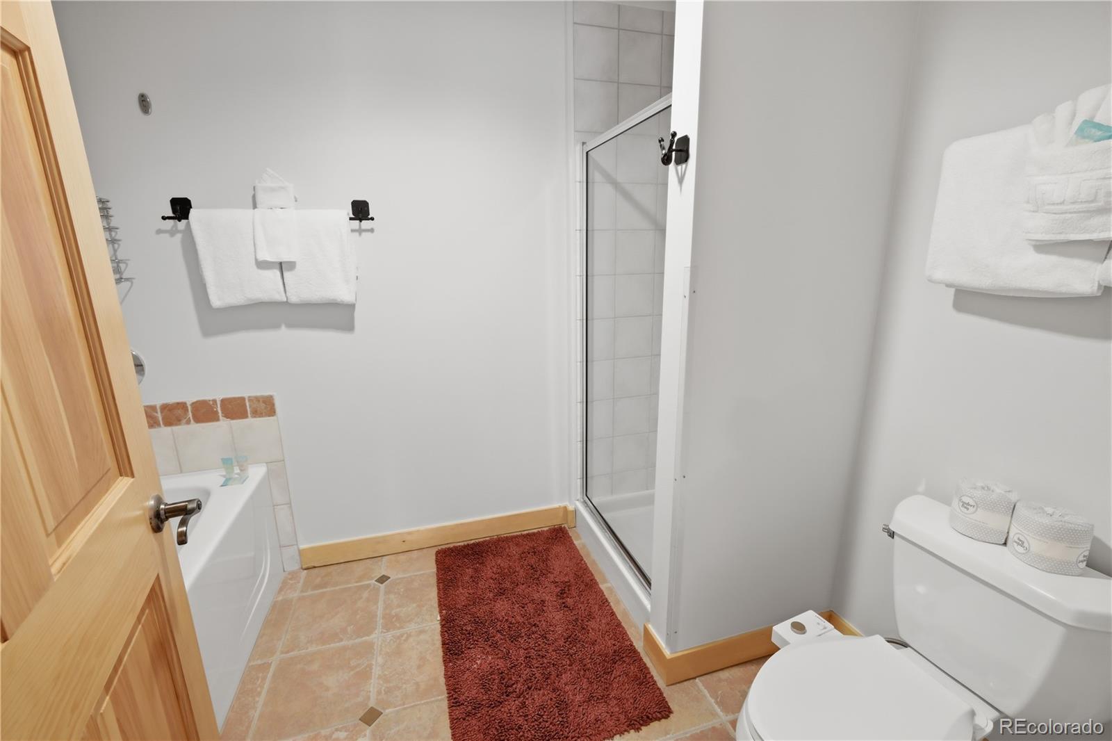 MLS Image #20 for 910  copper road,copper mountain, Colorado