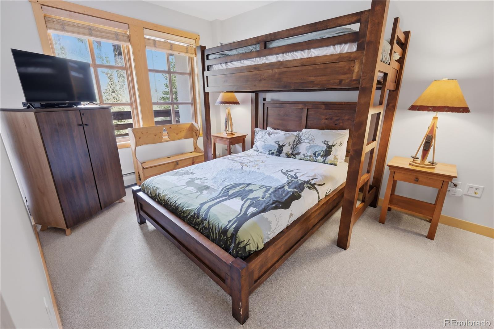 MLS Image #22 for 910  copper road,copper mountain, Colorado