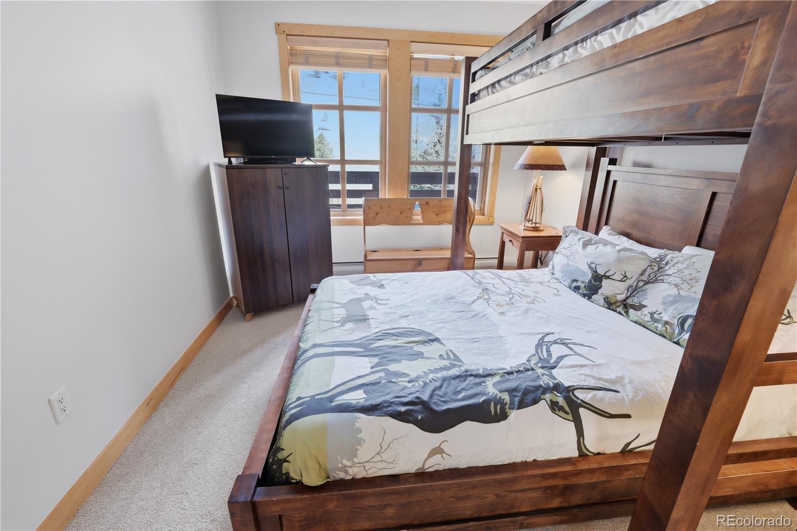 MLS Image #23 for 910  copper road,copper mountain, Colorado