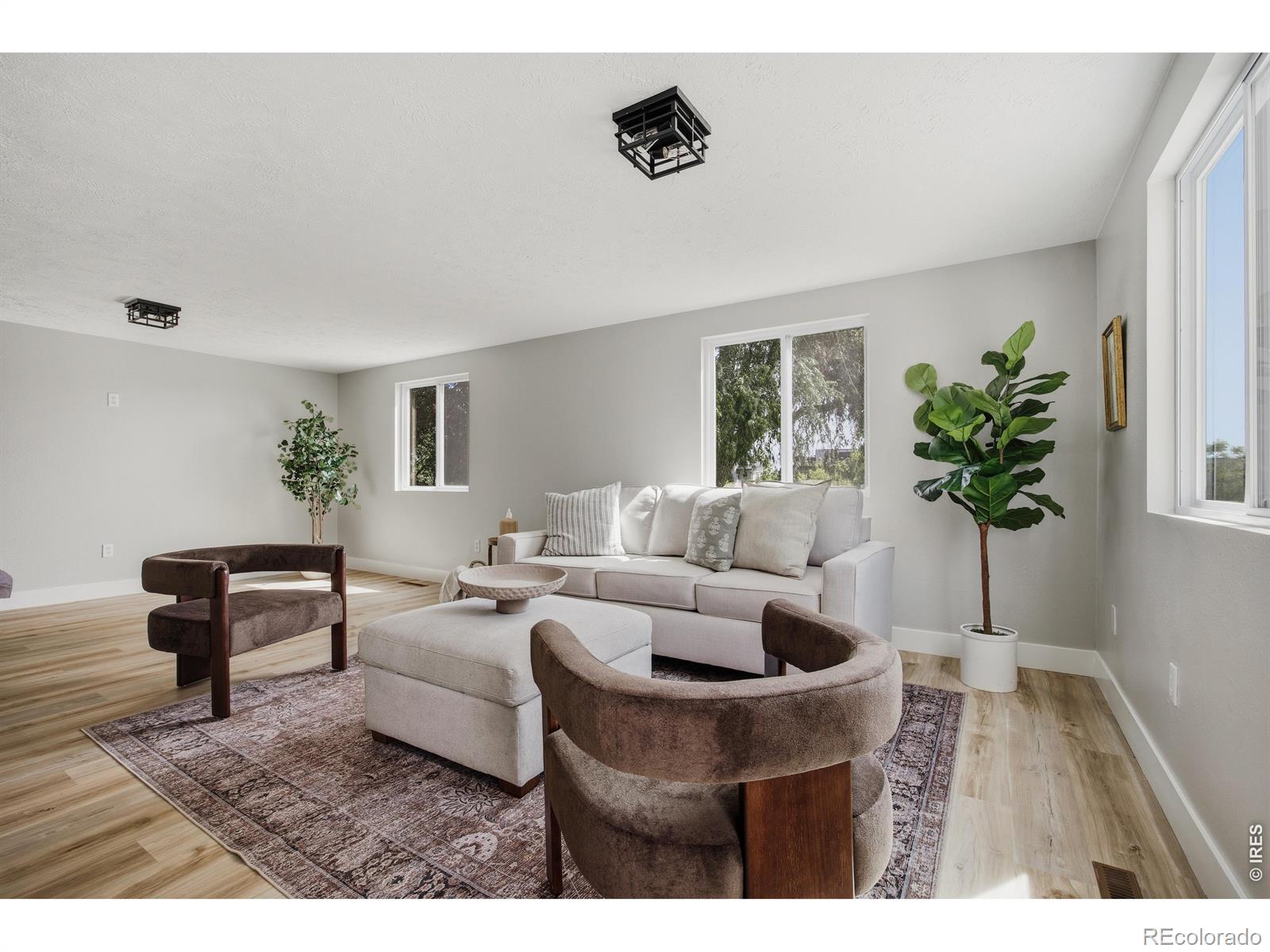 MLS Image #15 for 829  independence drive,longmont, Colorado