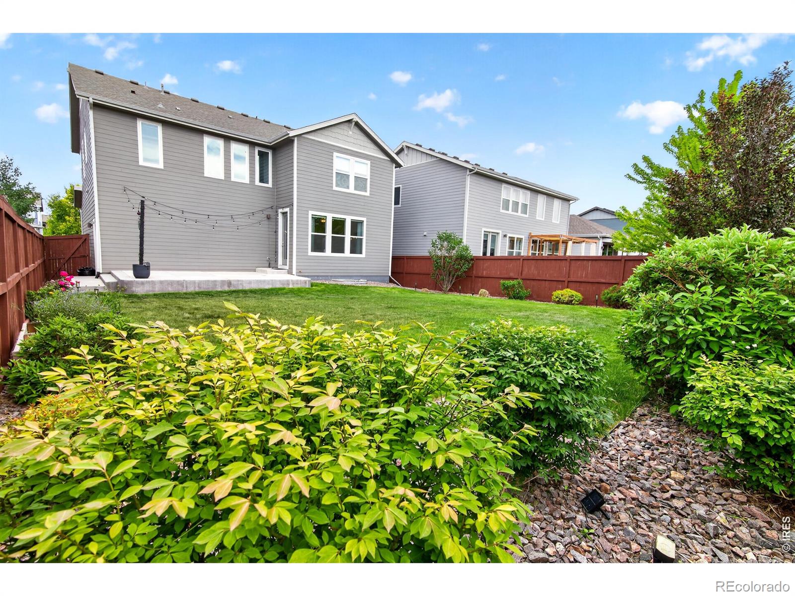 MLS Image #42 for 2104  gather court,windsor, Colorado