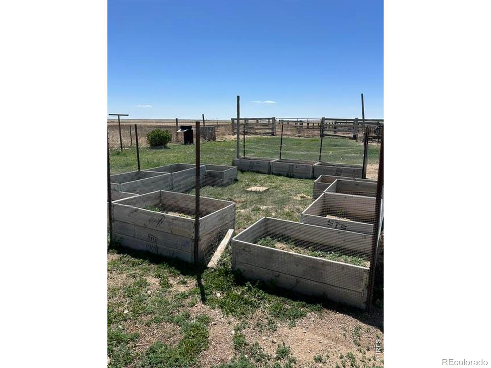 MLS Image #7 for 47854  county road 86 ,briggsdale, Colorado