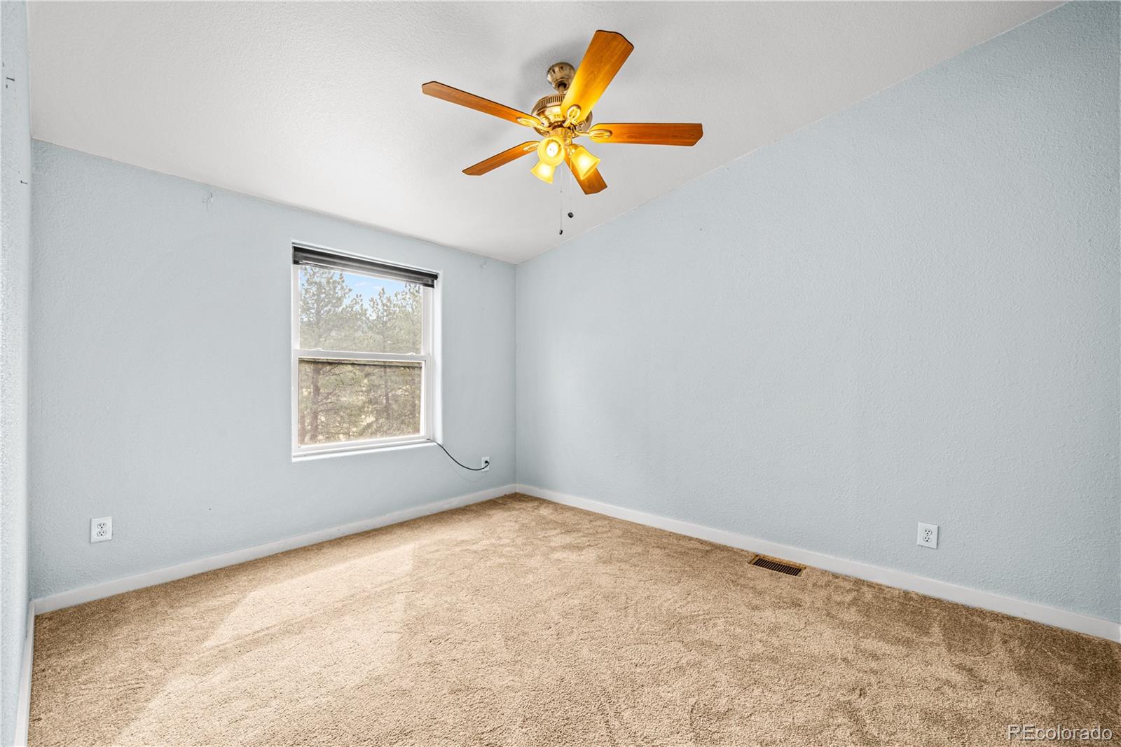 MLS Image #18 for 41 n matterhorn circle,westcliffe, Colorado