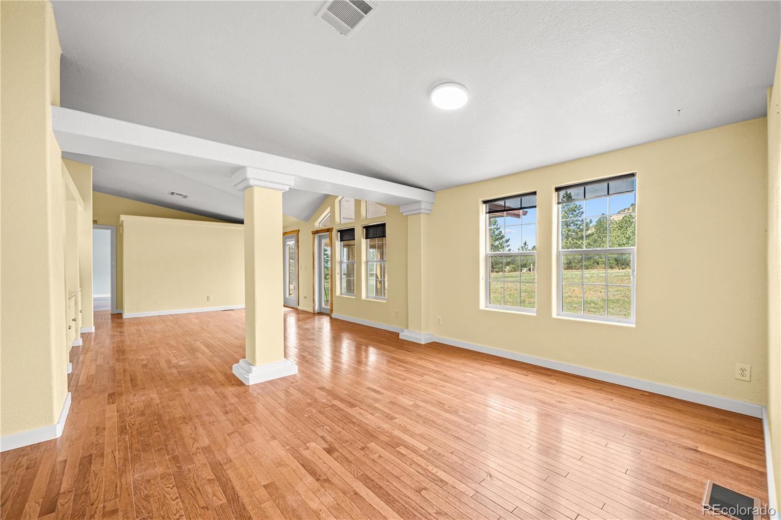 MLS Image #8 for 41 n matterhorn circle,westcliffe, Colorado