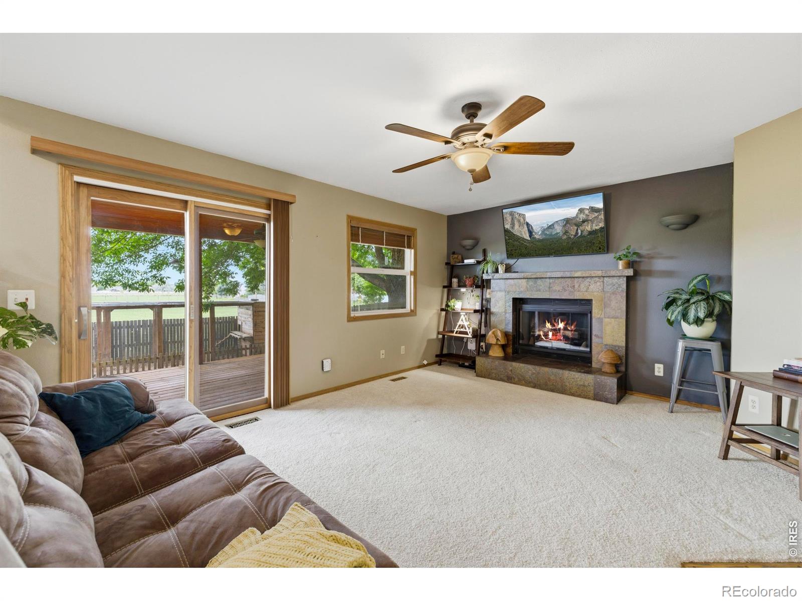MLS Image #10 for 1016  blue spruce drive,loveland, Colorado