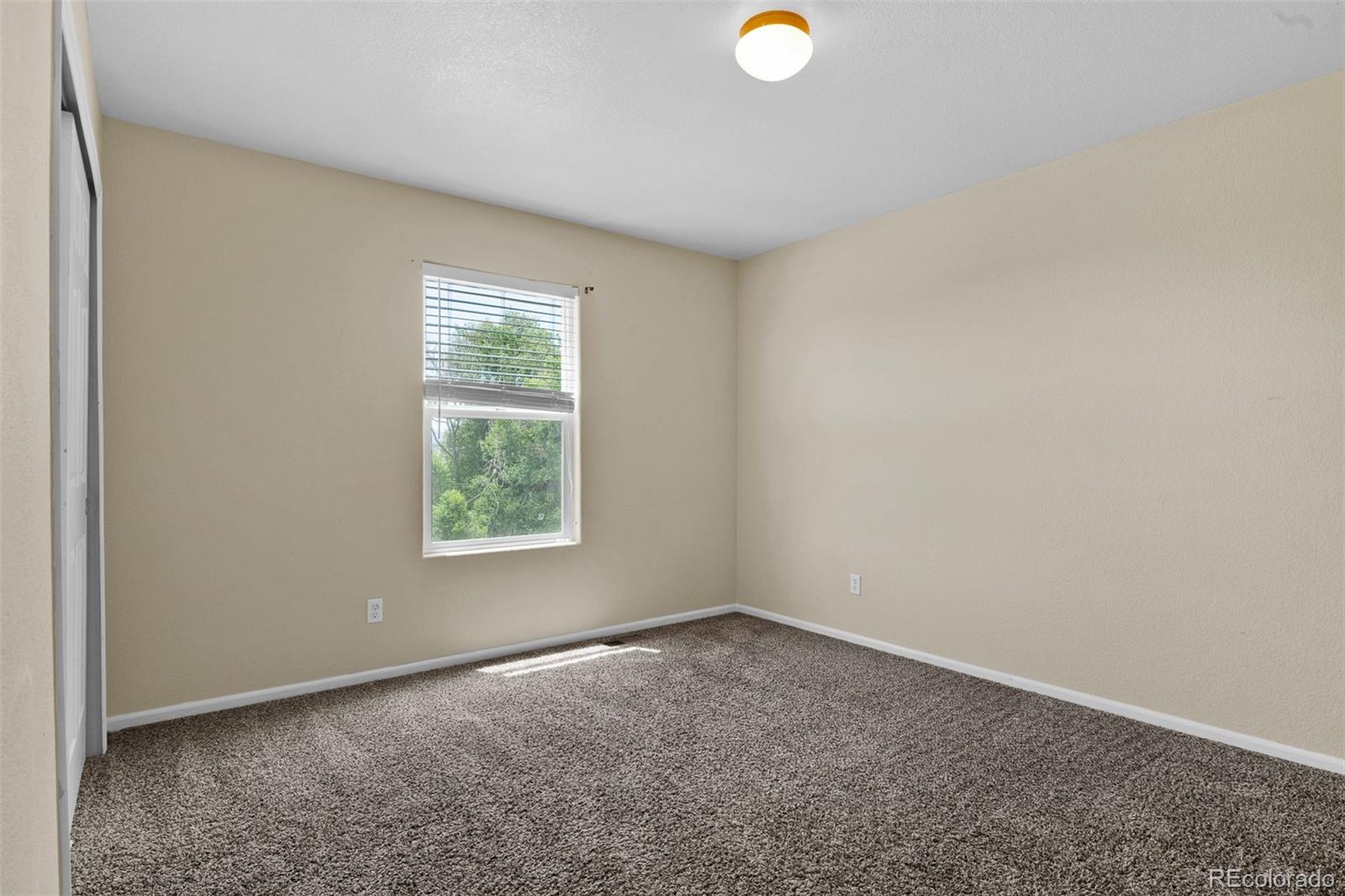 MLS Image #30 for 11145  falling star road,fountain, Colorado