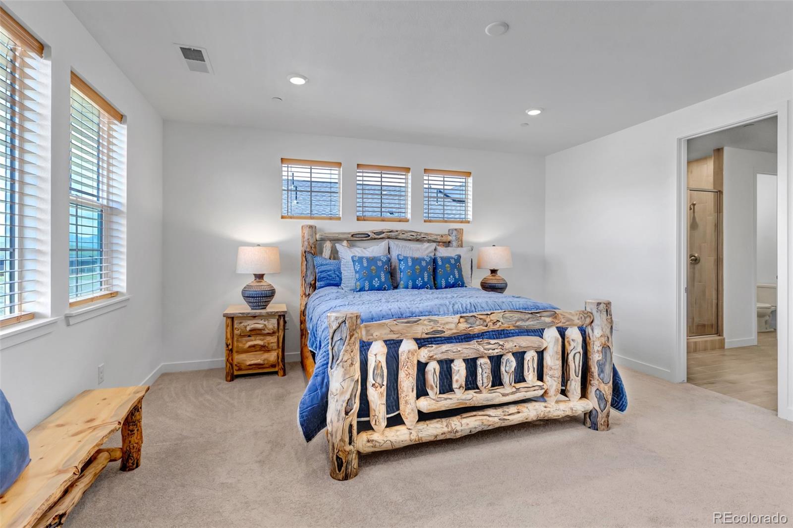 MLS Image #21 for 1168  raindance place,erie, Colorado