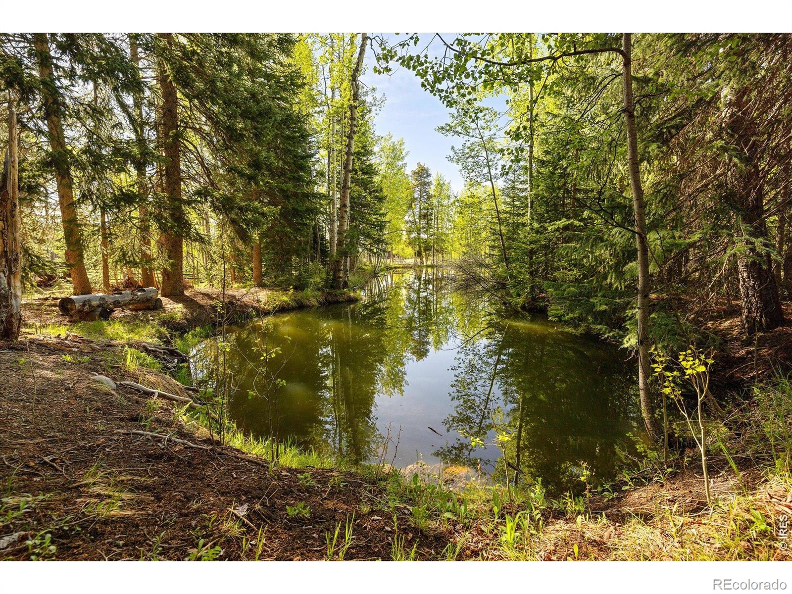MLS Image #28 for 1649  lump gulch road,black hawk, Colorado