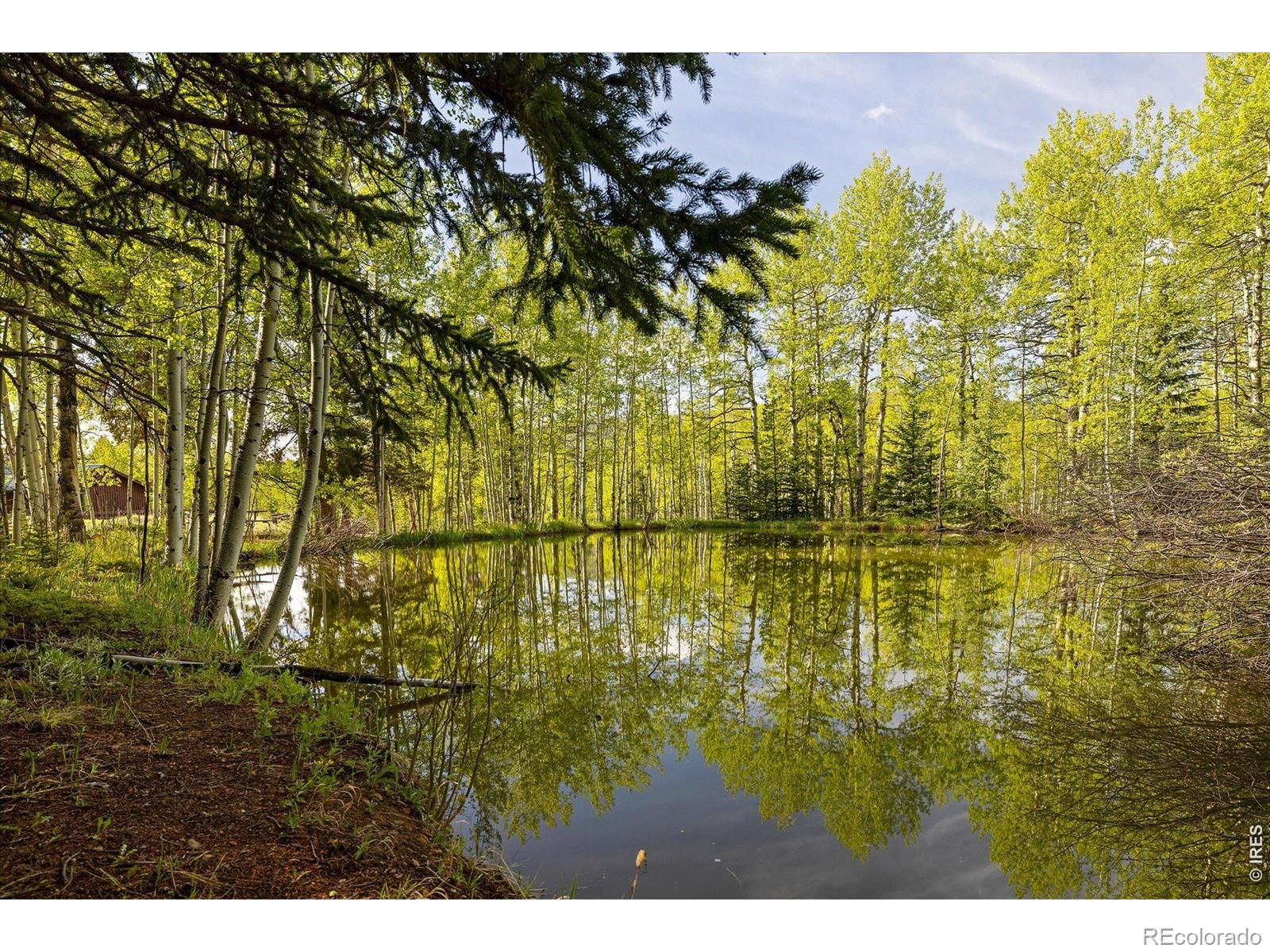 MLS Image #29 for 1649  lump gulch road,black hawk, Colorado