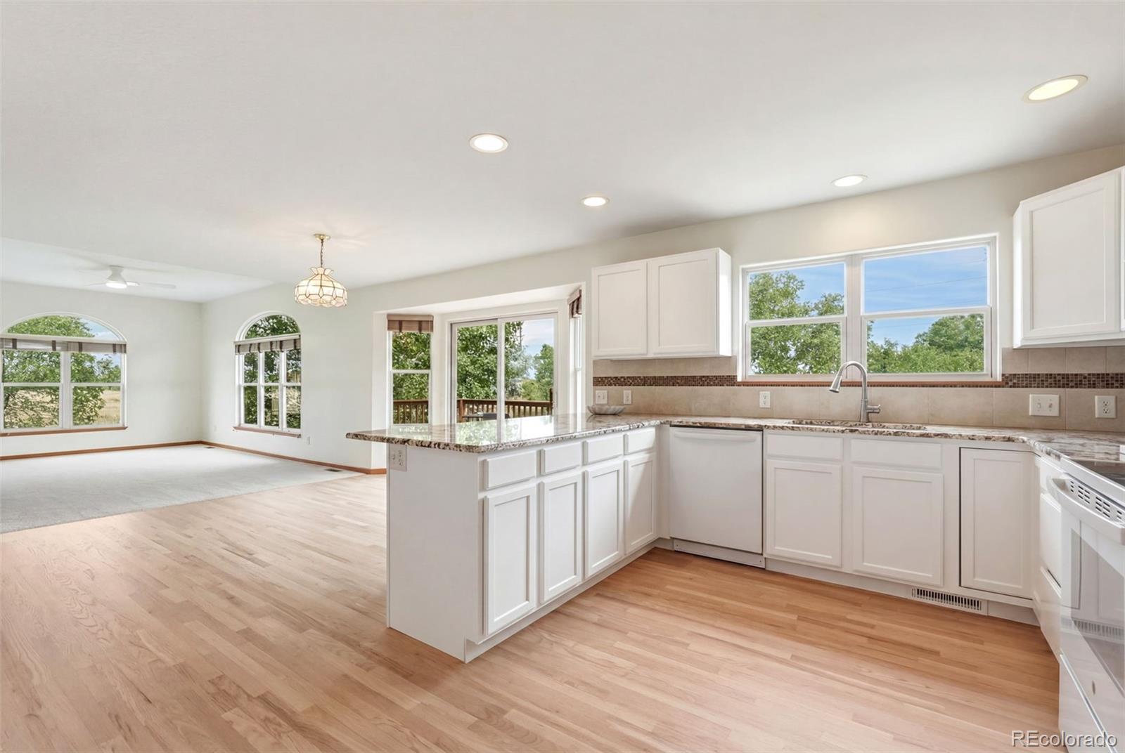 MLS Image #16 for 5883  wood duck court,longmont, Colorado