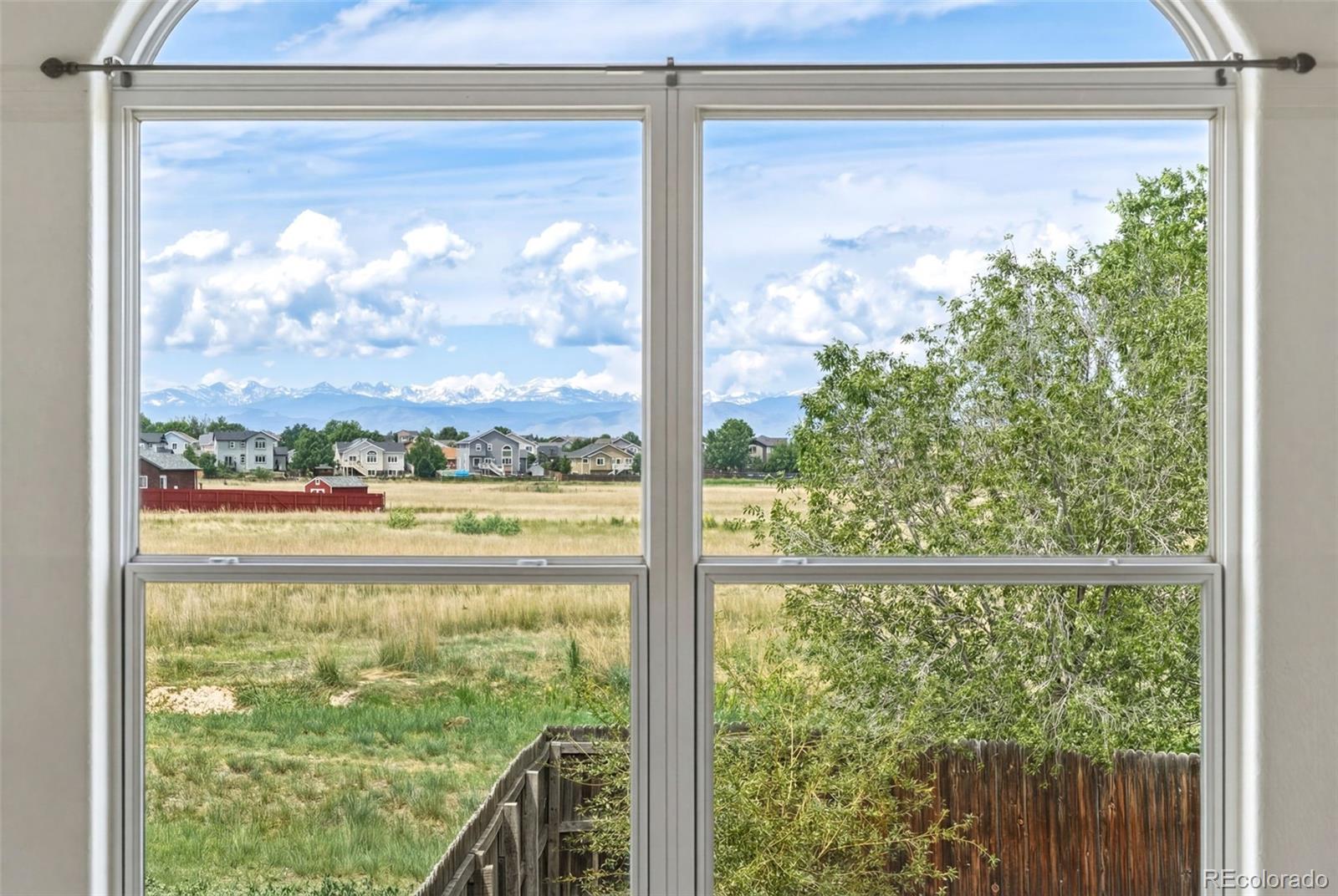 MLS Image #5 for 5883  wood duck court,longmont, Colorado