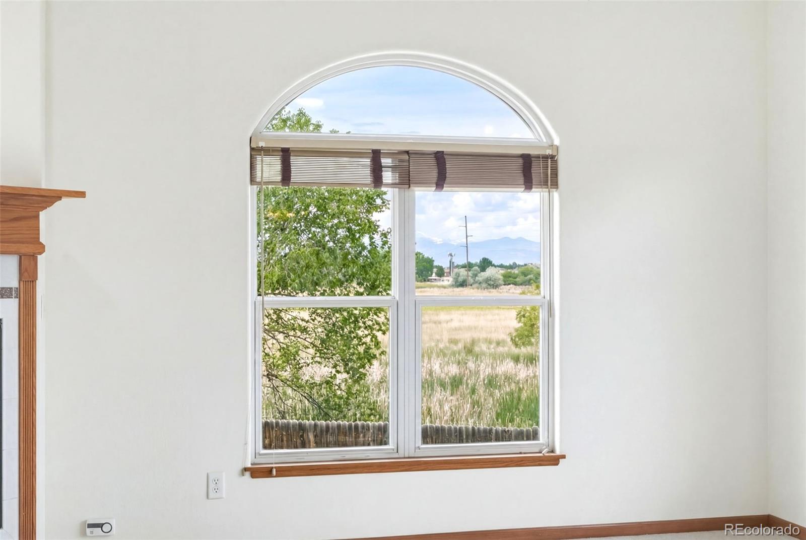 MLS Image #8 for 5883  wood duck court,longmont, Colorado