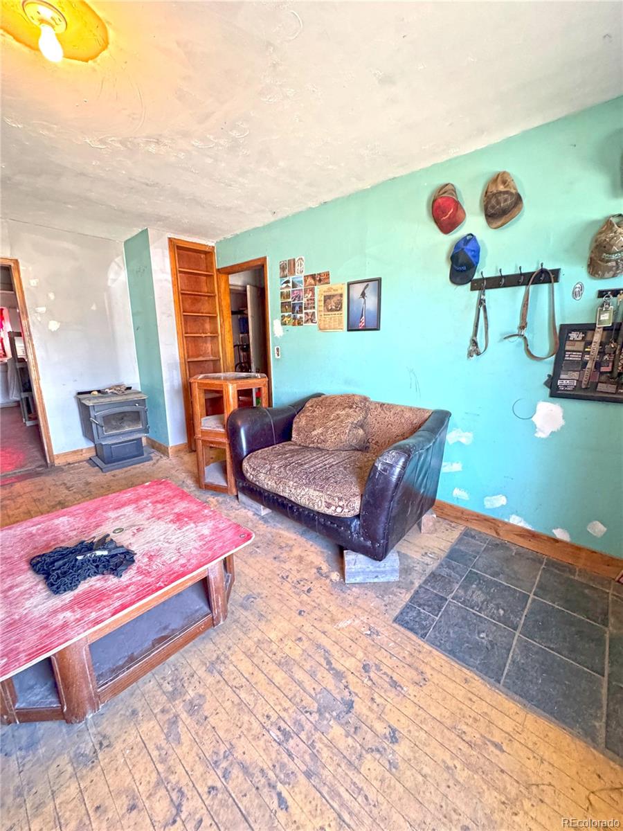 MLS Image #1 for 209  antrodemus alley,dinosaur, Colorado