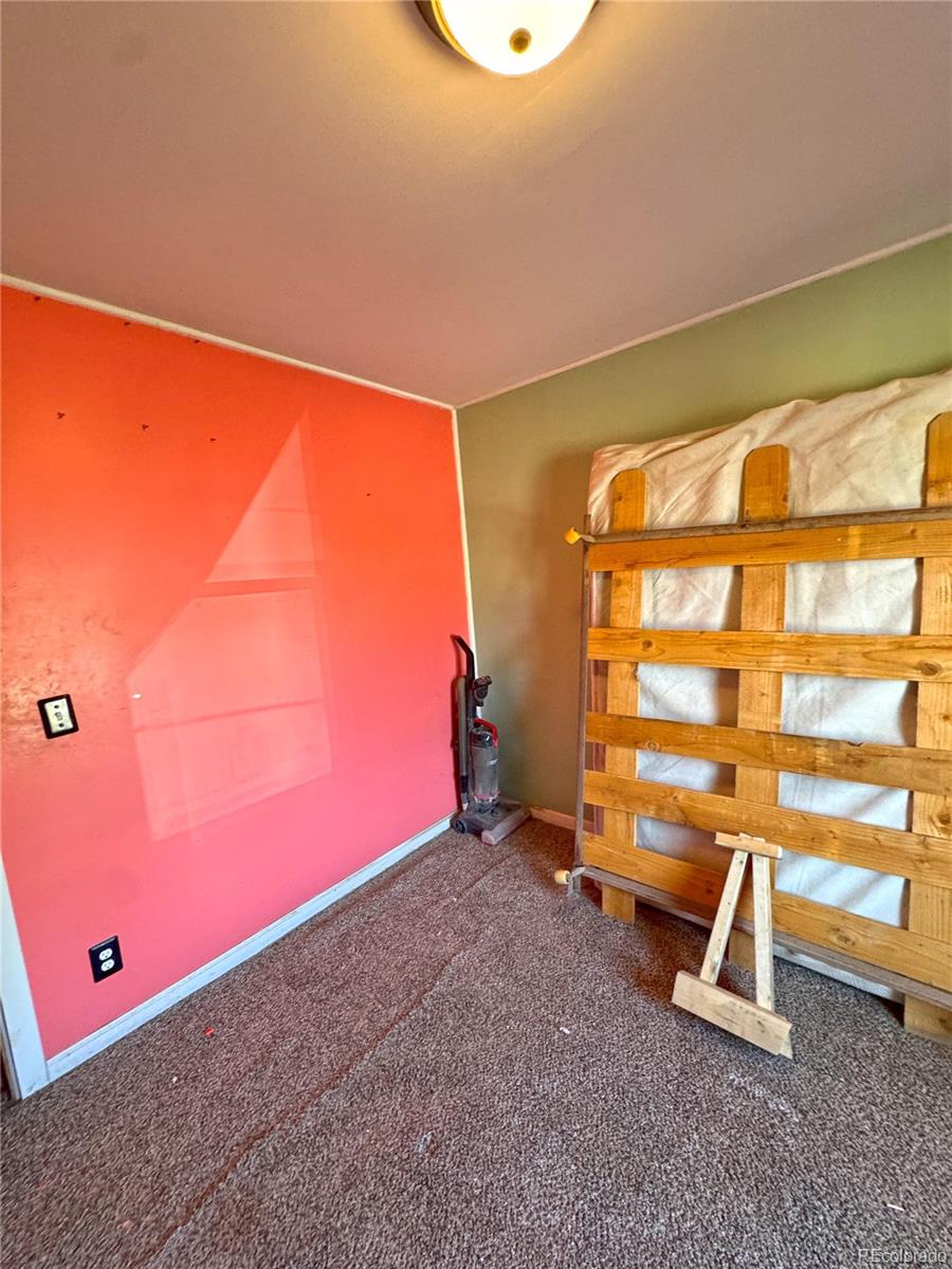 MLS Image #8 for 209  antrodemus alley,dinosaur, Colorado