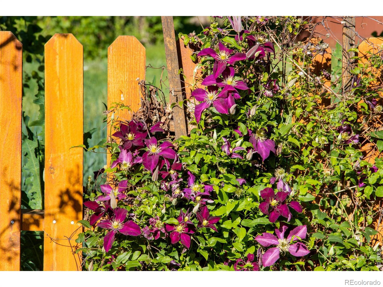MLS Image #8 for 3618  manzanita drive,loveland, Colorado