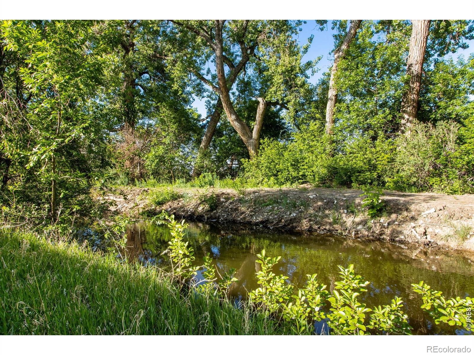 MLS Image #9 for 3618  manzanita drive,loveland, Colorado