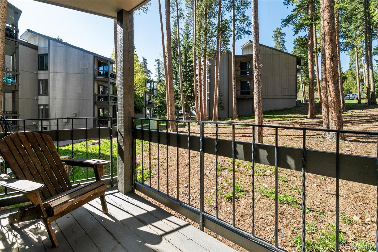 MLS Image #2 for 1173  ski hill road,breckenridge, Colorado