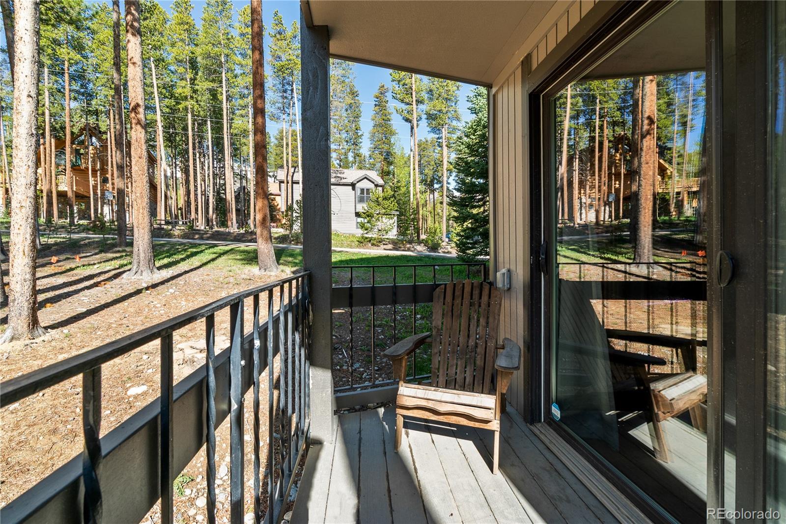 MLS Image #3 for 1173  ski hill road,breckenridge, Colorado
