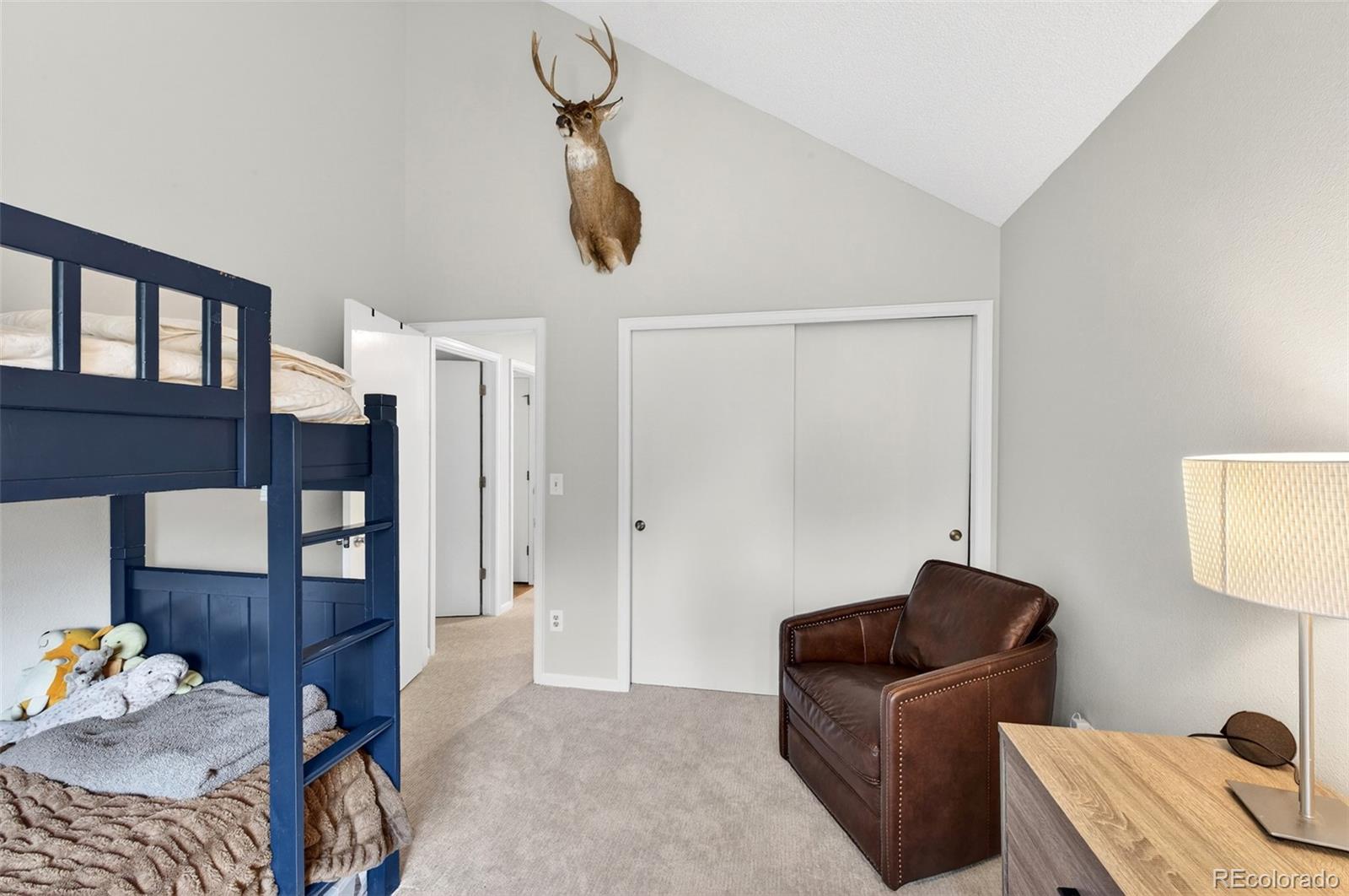 MLS Image #33 for 12  willowleaf drive,littleton, Colorado