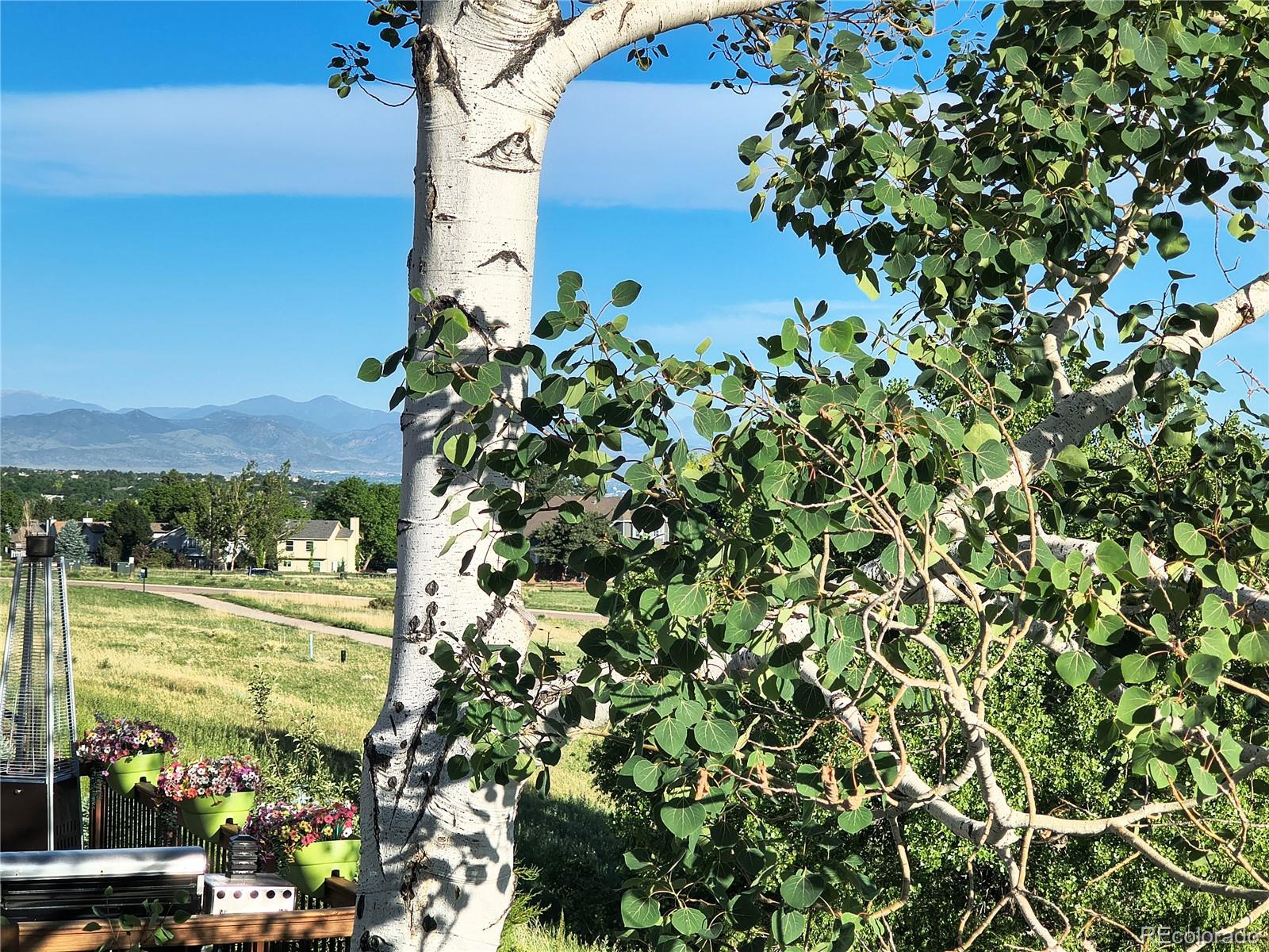 MLS Image #4 for 6945  mountain brush circle,littleton, Colorado