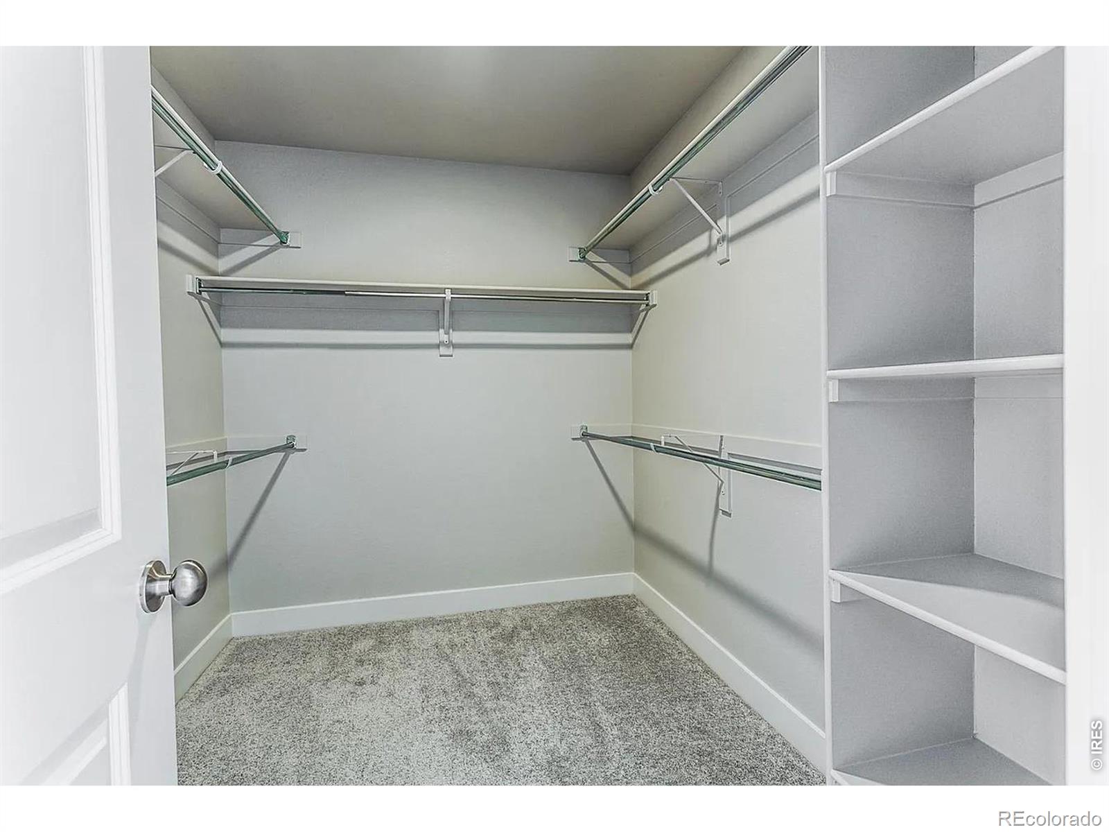 MLS Image #18 for 5748  stone fly drive,timnath, Colorado