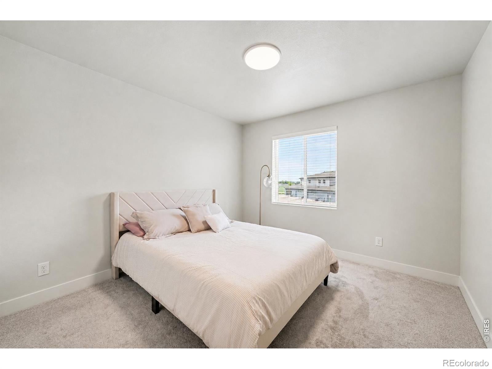 MLS Image #19 for 5748  stone fly drive,timnath, Colorado