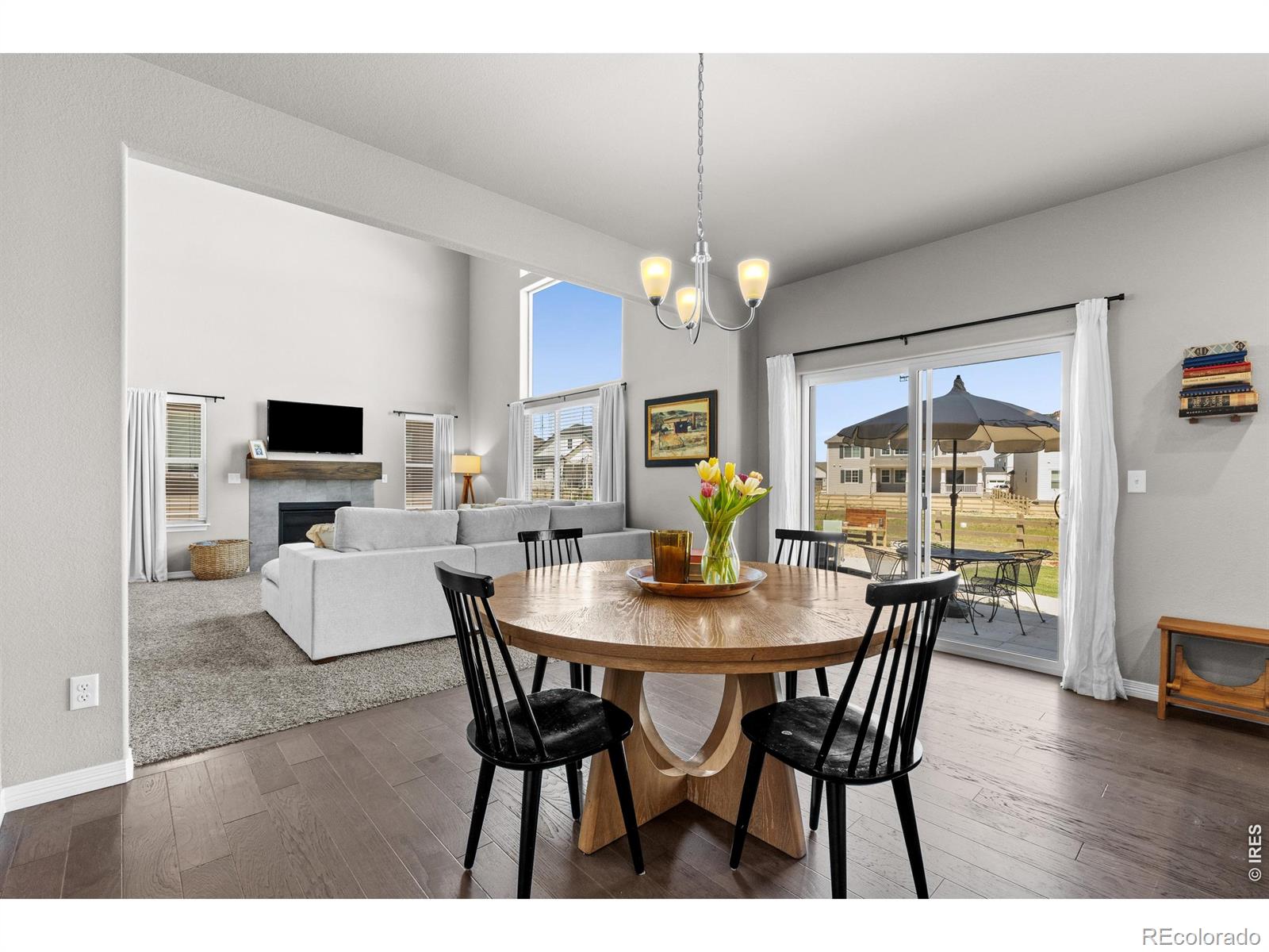 MLS Image #13 for 1430  larimer ridge parkway,timnath, Colorado
