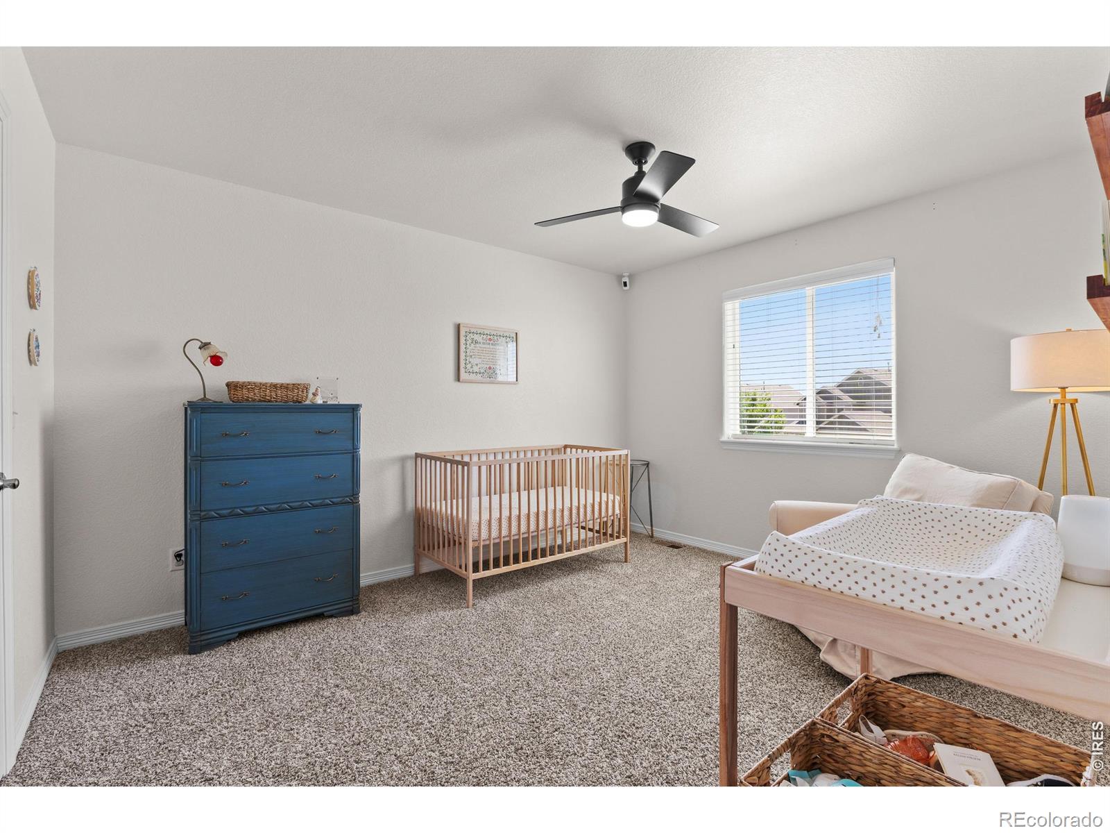 MLS Image #24 for 1430  larimer ridge parkway,timnath, Colorado